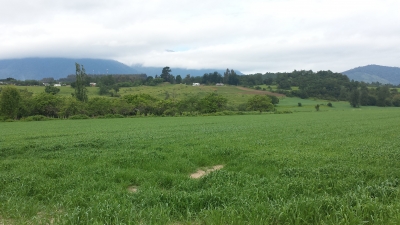 Venta-de-Parcela-en-Futrono-Lago-Ranco